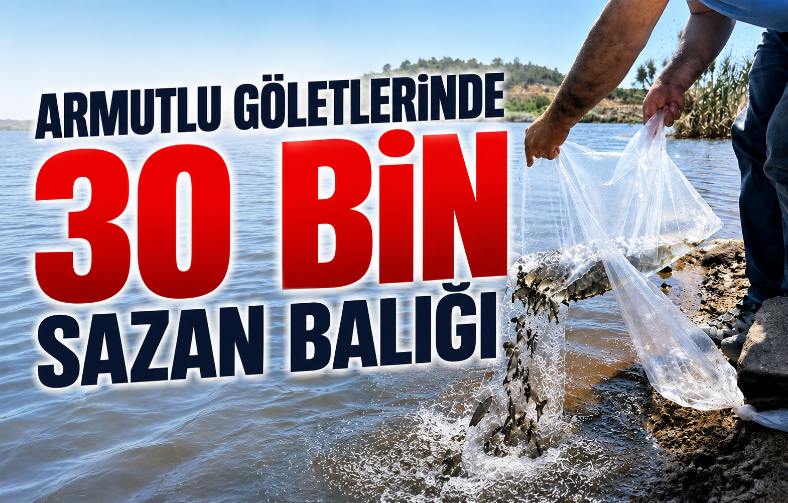 Yalova’nın Doğal Zenginliklerini Keşfedin: Armutlu Göletlerinde 30 Bin Sazan Balığı ile Yeni Bir Dönem Başlıyor!
