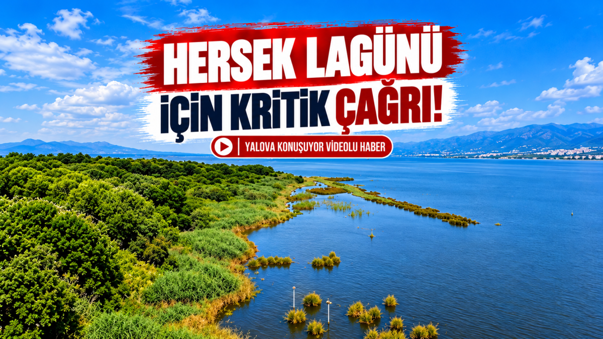 Hersek Lagünü İçin Kritik Çağrı!